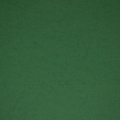 AG#ZNN00119